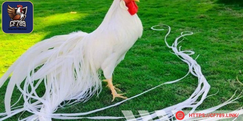 Các bạn có thể tham gia các hội nhóm để tìm hiểu