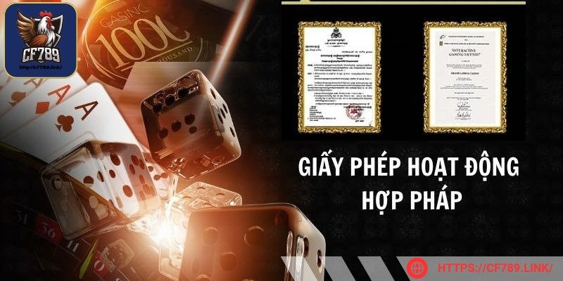 Giấy phép hoạt động là gì?