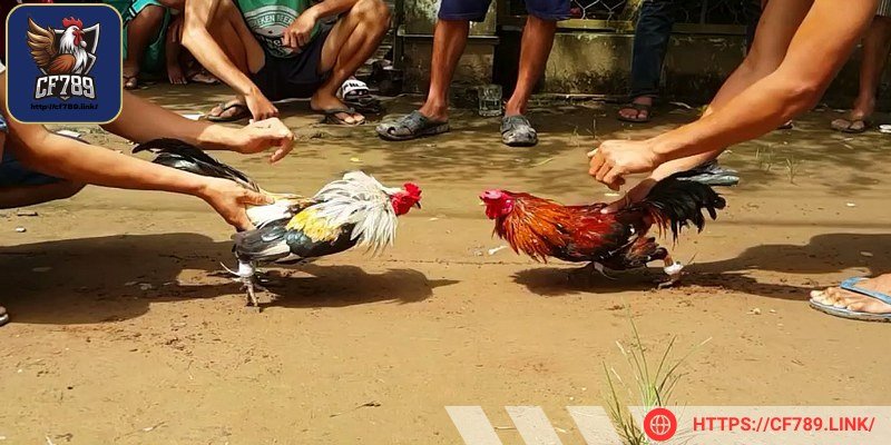 Tác động mé ngang cực kỳ sát thương